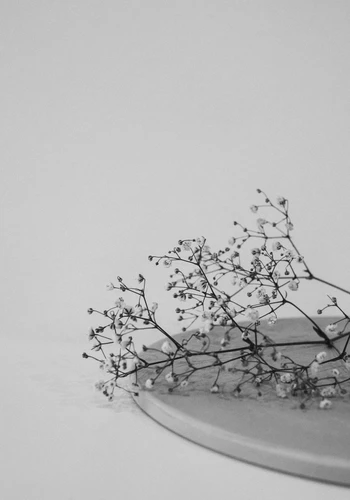 Random image 1